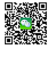 本页围绕「安博手机端