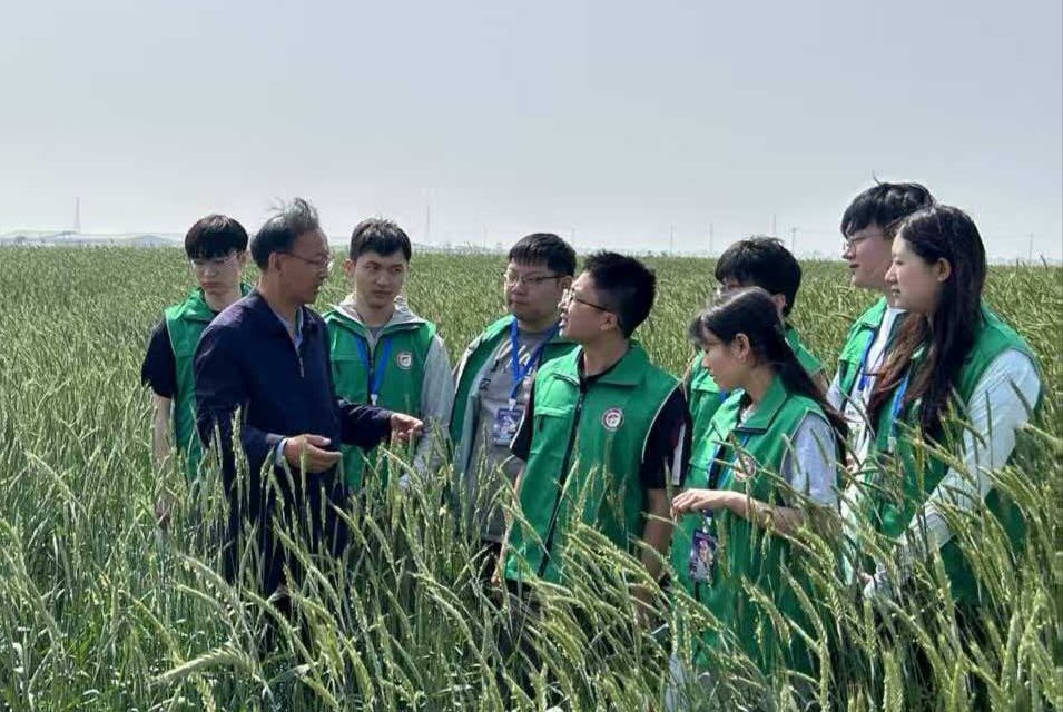 聚焦产业瓶颈