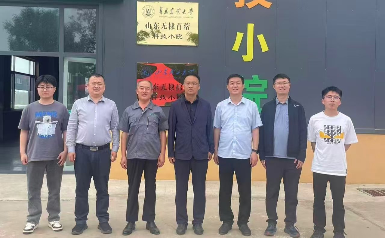 为服务乡村振兴注入强劲动能