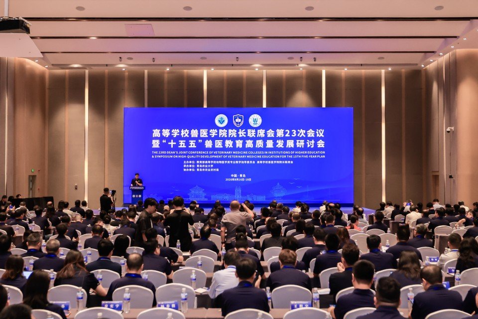 共谋新篇