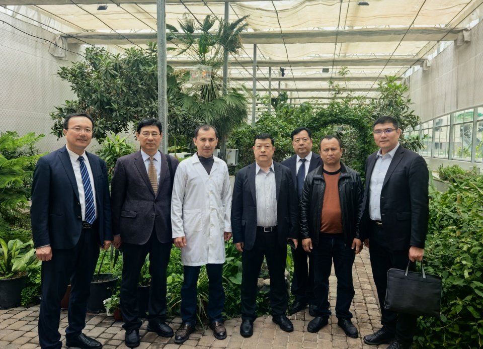代表团访问了乌兹别克斯坦科安博手机端