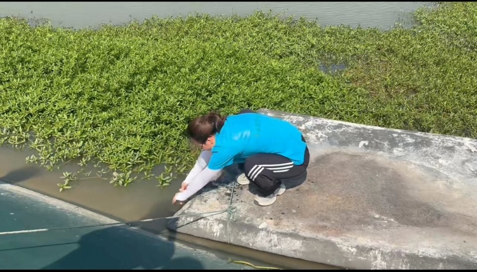 开展沉浸式