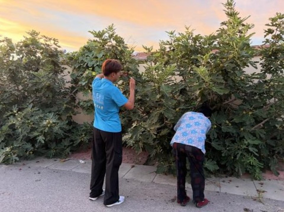在产业一线破难题