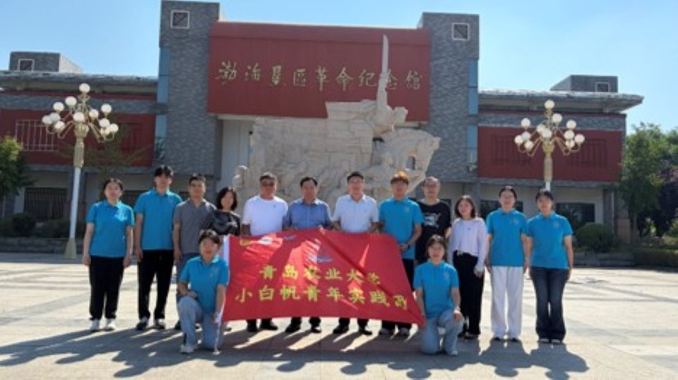 统筹学科科研优势与思政育人资源