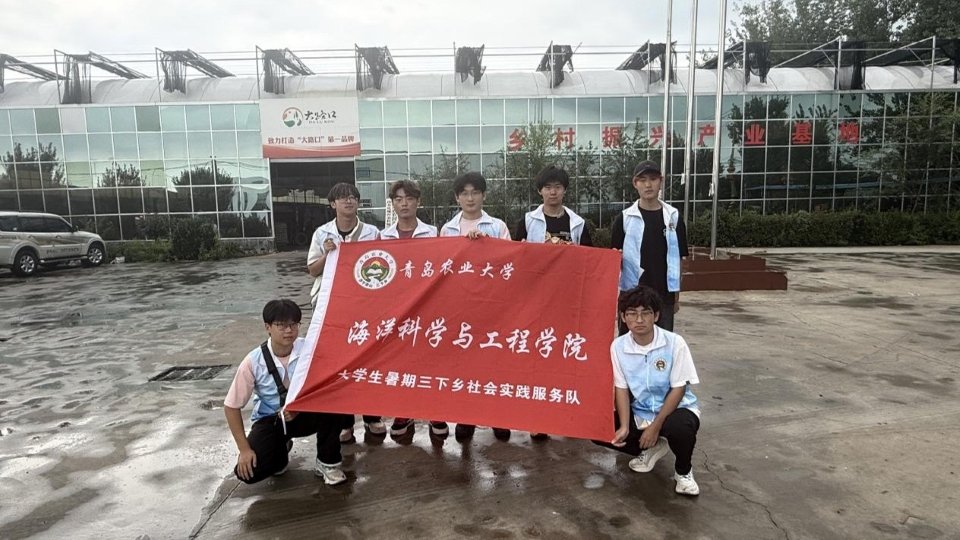 惠民政策落地