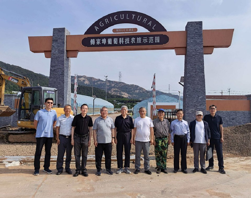 专家一行人深入田间地块