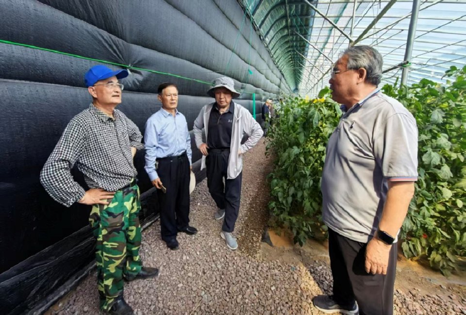 秘书长林琪教授带领老专家团队
