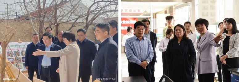 是新时代中国农业高等安博手机端最新版