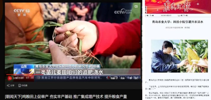 立德树人