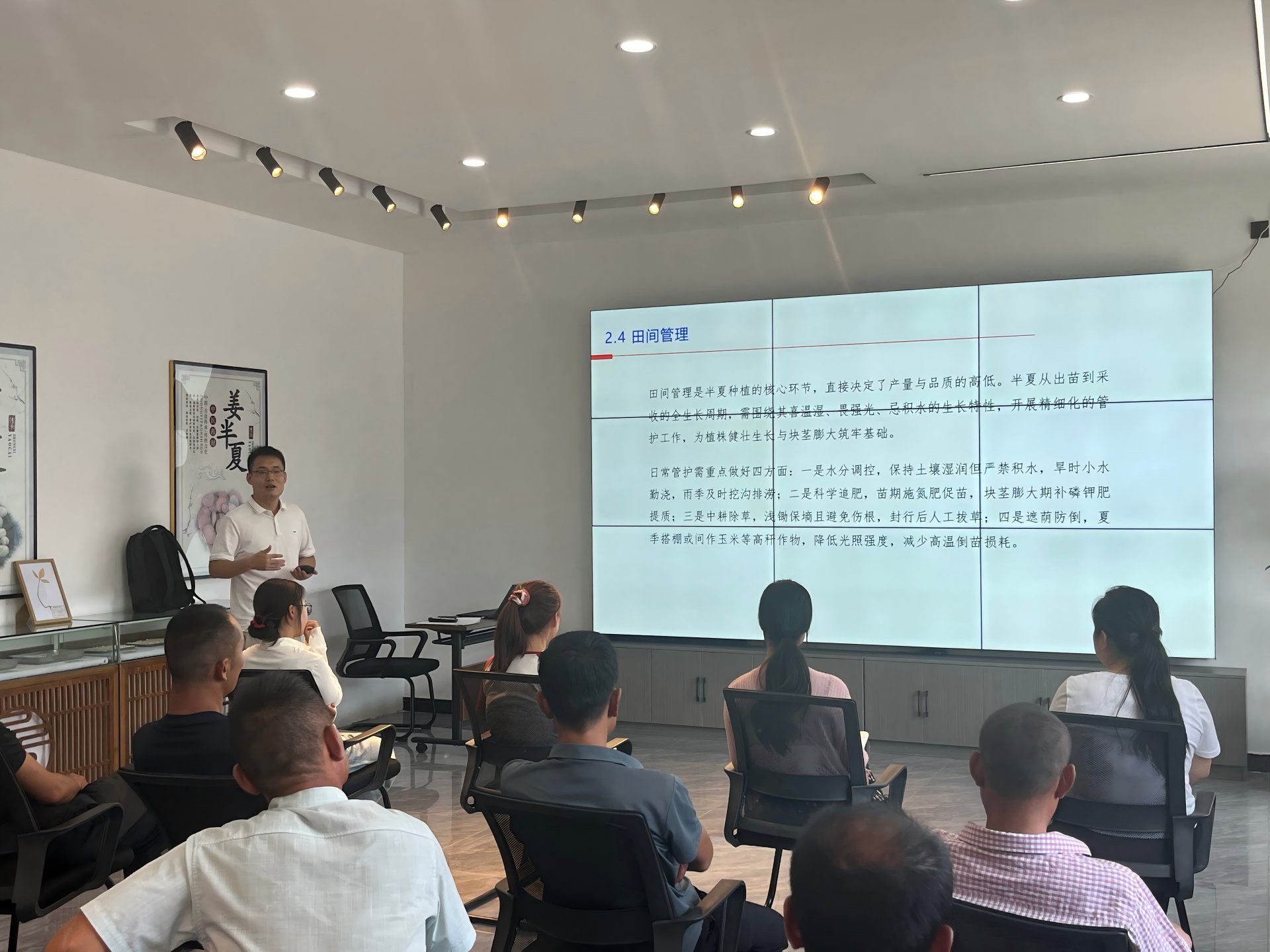 手指拨开绿叶