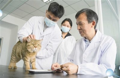 是国内首创宠物专用高效止吐与抗应激二