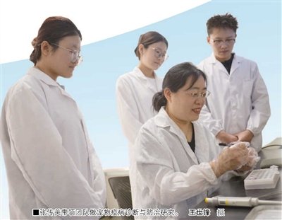 应激反应等临床痛点