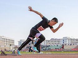 可改走栏目列表继续查找