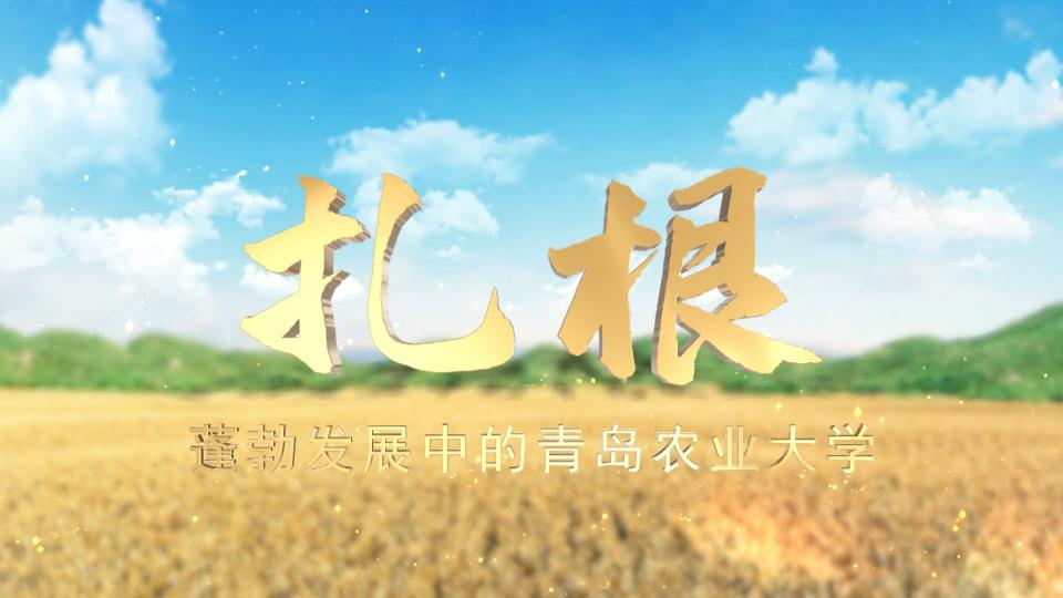 引进及创新作物高产高效技术30项