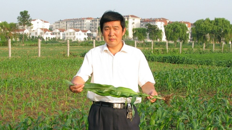 青岛市委副书记