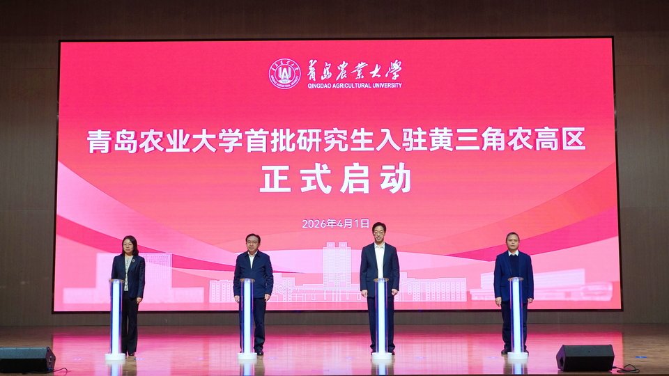 避免被站外镜像带偏